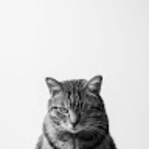 Meet your Posher, Kara